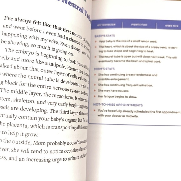 We're Pregnant! the First Time Dad's Pregnancy Handbook Adrian Kulp - Picture 5 of 7